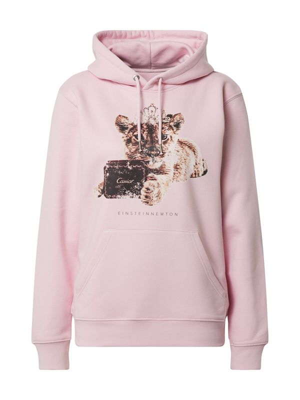 EINSTEIN & NEWTON EINSTEIN & NEWTON Sweater majica  bež / smeđa / roza