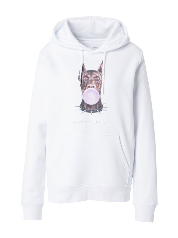 EINSTEIN & NEWTON EINSTEIN & NEWTON Sweater majica 'Bubble Dog'  smeđa / roza / crna / bijela