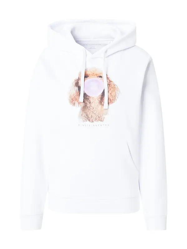 EINSTEIN & NEWTON EINSTEIN & NEWTON Sweater majica 'Bubble Poodle'  smeđa / roza / bijela