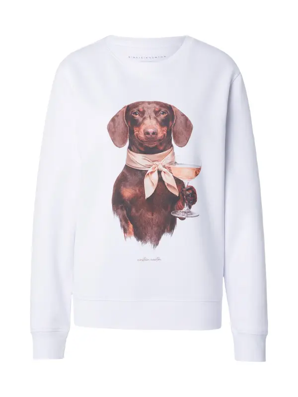 EINSTEIN & NEWTON EINSTEIN & NEWTON Sweater majica 'Madison'  moka smeđa / tamno smeđa / bijela