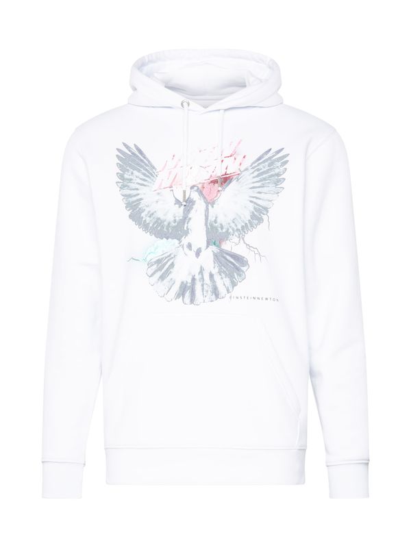 EINSTEIN & NEWTON EINSTEIN & NEWTON Sweater majica 'Nico Tin'  siva / crna / bijela