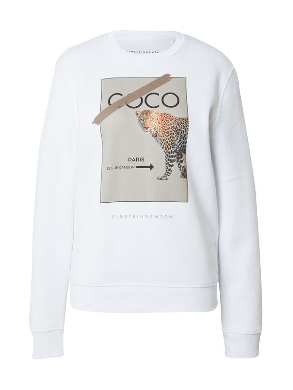 EINSTEIN & NEWTON EINSTEIN & NEWTON Sweater majica  siva / tamno narančasta / crna / bijela