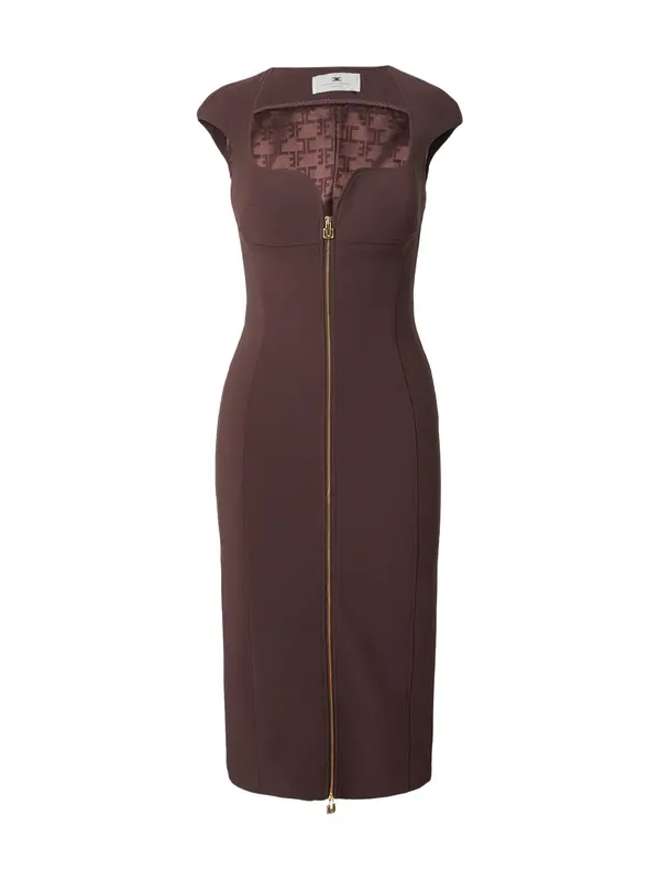 Elisabetta Franchi Elisabetta Franchi Haljina  smeđa