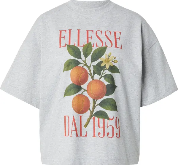 ELLESSE ELLESSE Majica '1959'  siva / kraljevski zelena / ciglasto crvena / svijetlocrvena
