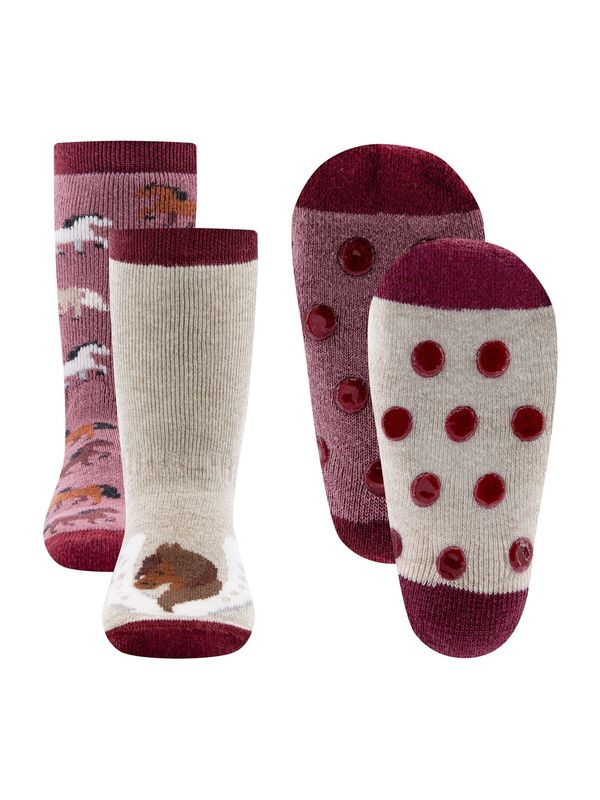 EWERS EWERS Čarape  ecru/prljavo bijela / smeđa / boja vina / pastelno crvena