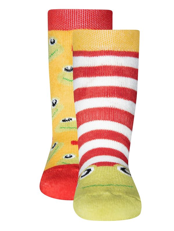 EWERS EWERS Čarape  zlatna / pastelno zelena / karmin crvena