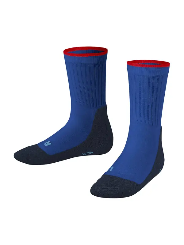 FALKE FALKE Sportske čarape 'Active Everyday'  plava / mornarsko plava / crvena