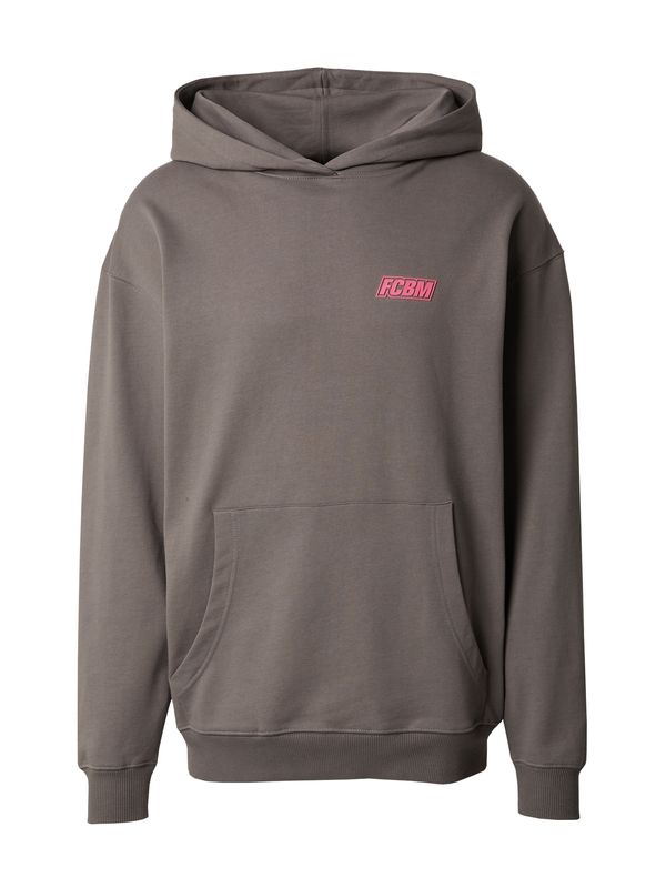 FCBM FCBM Sweater majica 'Elia'  siva