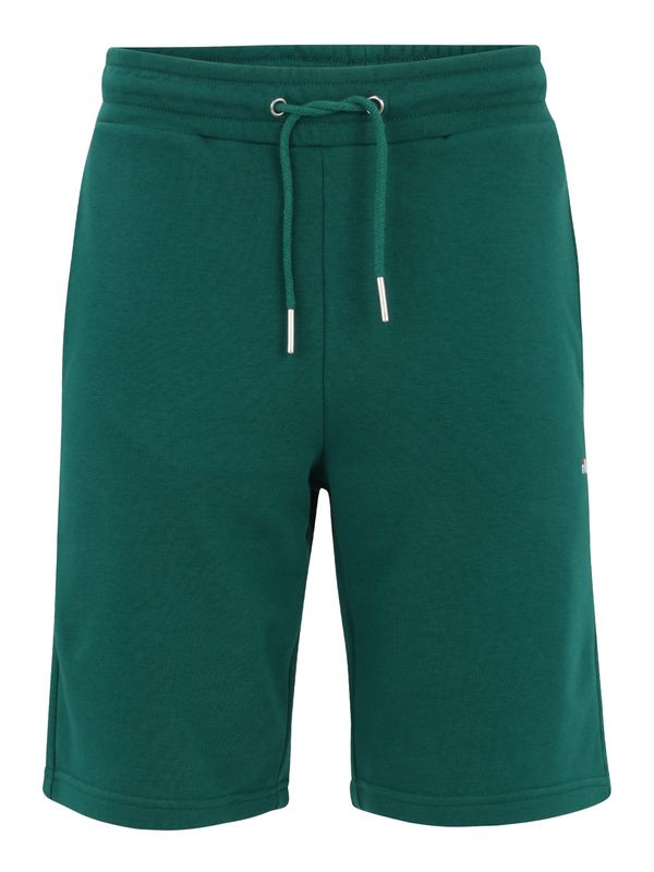 FILA FILA Hlače 'BLEHEN'  tamno zelena / crvena / bijela