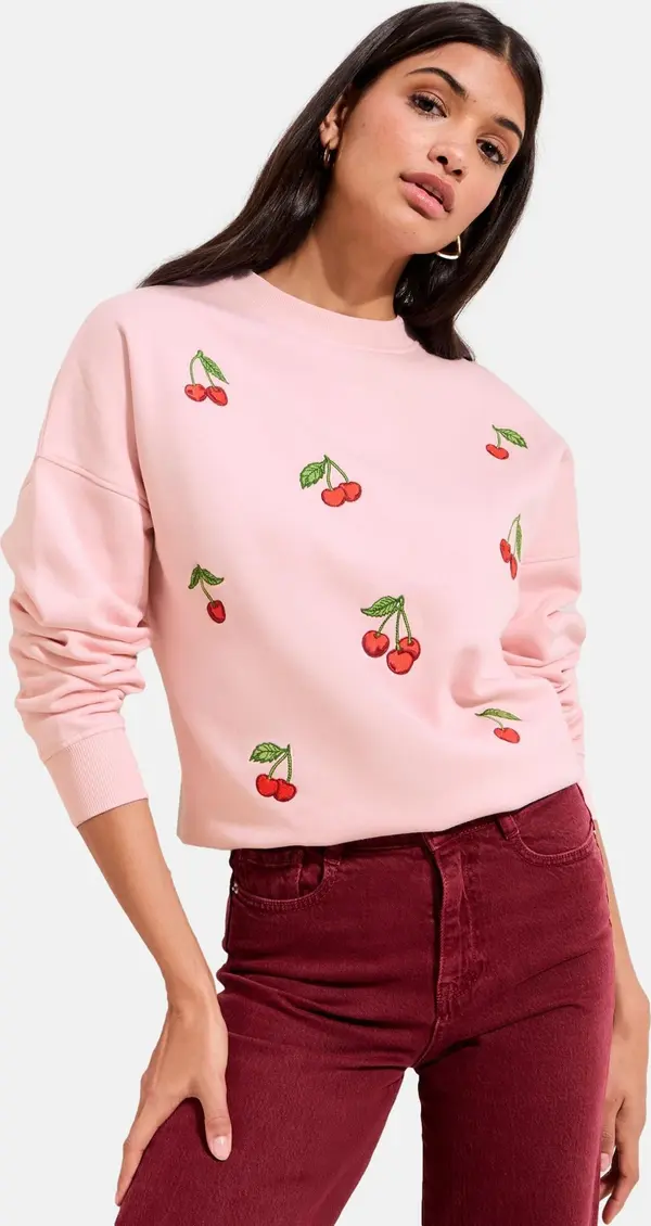 Friends Like These Friends Like These Sweater majica  zelena / svijetloroza / crvena / trešnja crvena