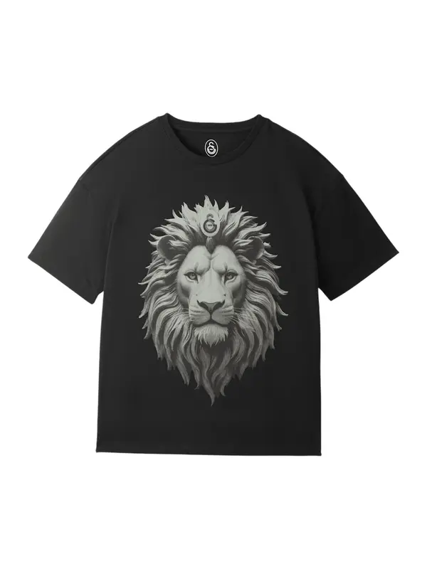 Galatasaray Galatasaray Majica 'Istanbul'  siva / tamo siva / crna