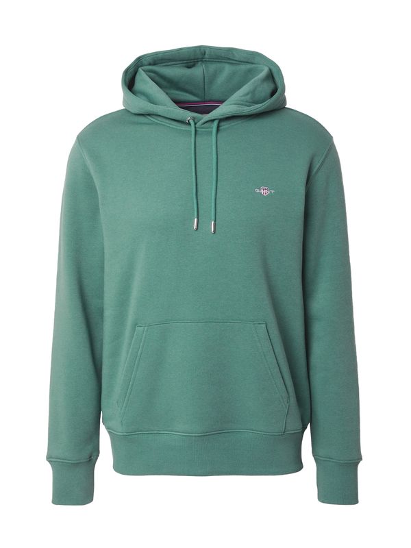 GANT GANT Sweater majica  sivkasto zelena