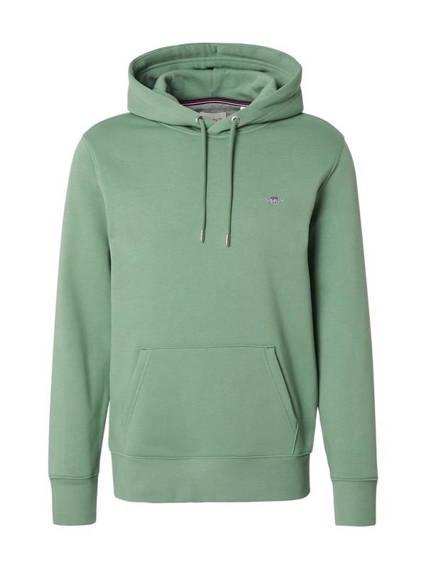 GANT GANT Sweater majica  svijetlozelena