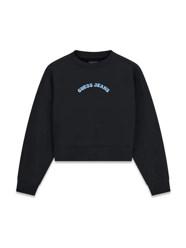 GUESS JEANS GUESS JEANS Sweater majica  kraljevsko plava / crna / bijela