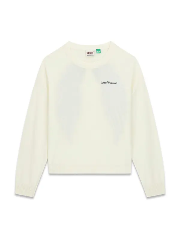 GUESS Originals GUESS Originals Pulover 'WING'  pijesak / antracit siva