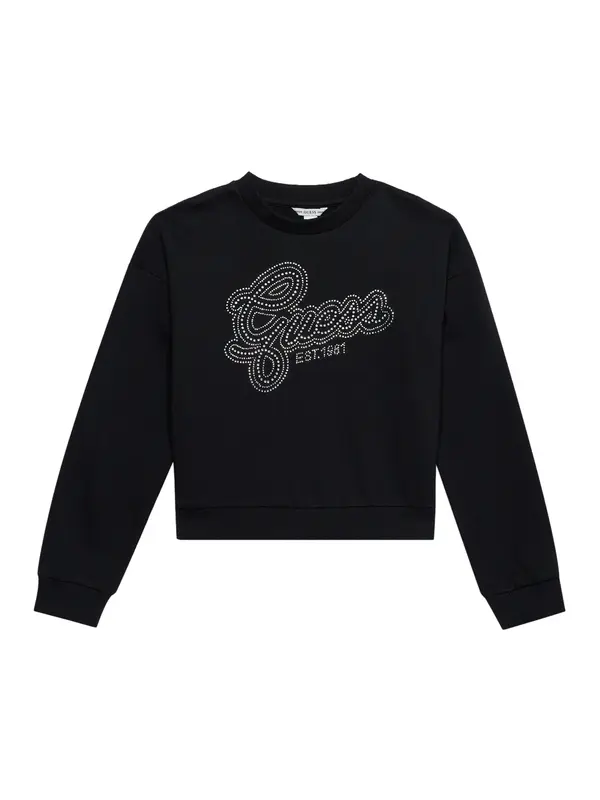 GUESS GUESS Sweater majica  crna / srebro