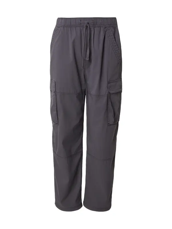 HOLLISTER HOLLISTER Cargo hlače  tamo siva