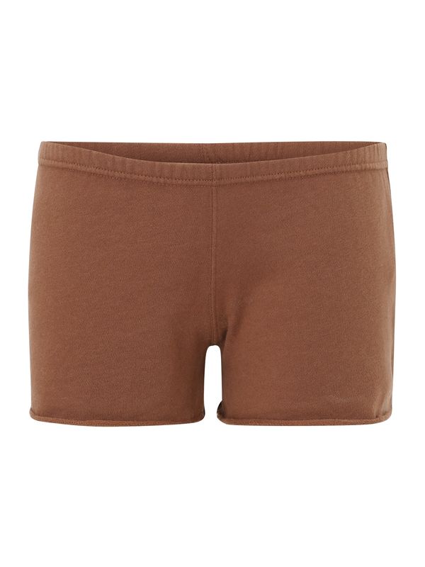 HOLLISTER HOLLISTER Hlače 'TERRY'  smeđa