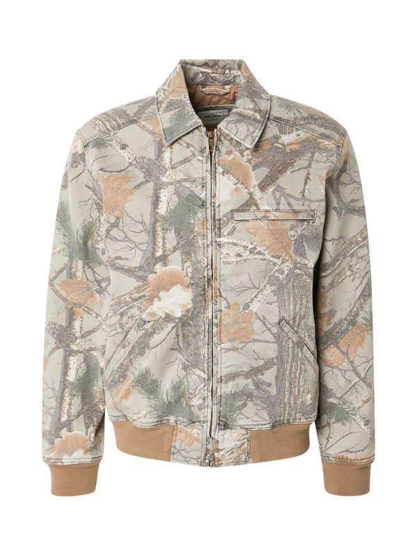 HOLLISTER HOLLISTER Prijelazna jakna  svijetlosmeđa / dimno siva / tamo siva / tamno zelena