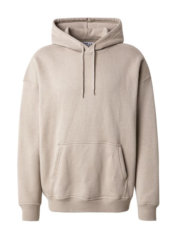 HOLLISTER HOLLISTER Sweater majica  cappuccino