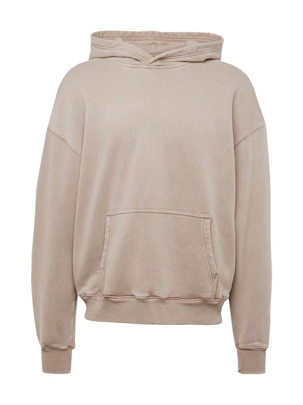 HOLLISTER HOLLISTER Sweater majica 'MAR4'  sivkasto bež