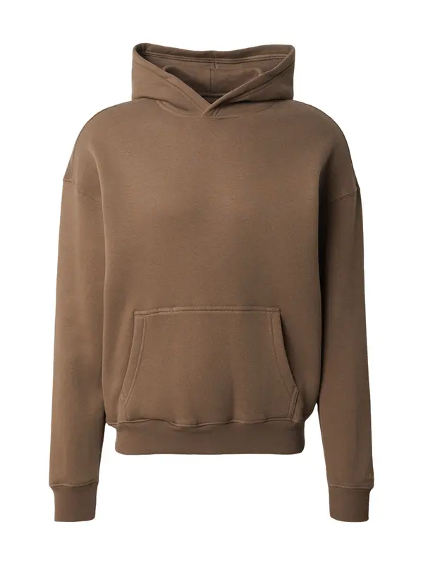 HOLLISTER HOLLISTER Sweater majica  smeđa