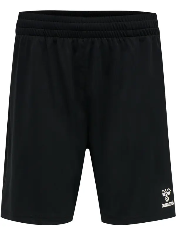 Hummel Hummel Sportske hlače 'Referee Chevron'  crna / bijela
