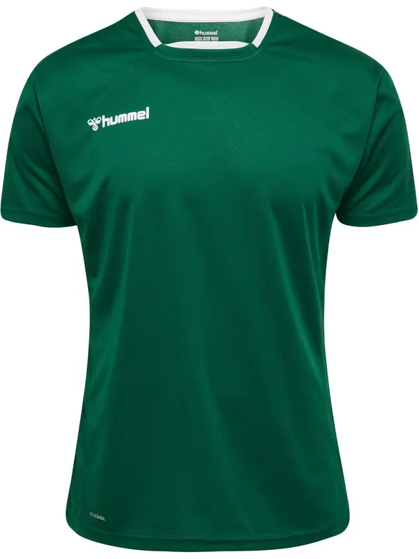 Hummel Hummel Tehnička sportska majica 'Authentic'  zelena / tamno zelena