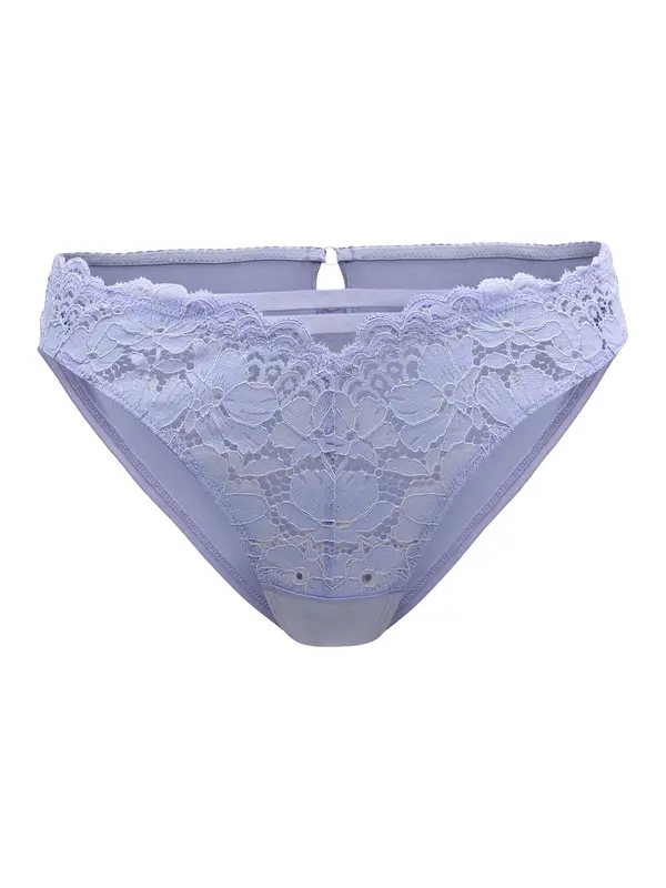 Hunkemöller Hunkemöller Slip 'Andrea'  svijetloljubičasta