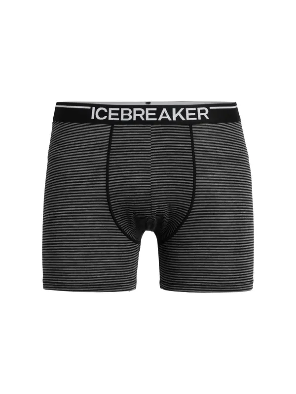 ICEBREAKER ICEBREAKER Sportske gaće 'Anatomica'  siva