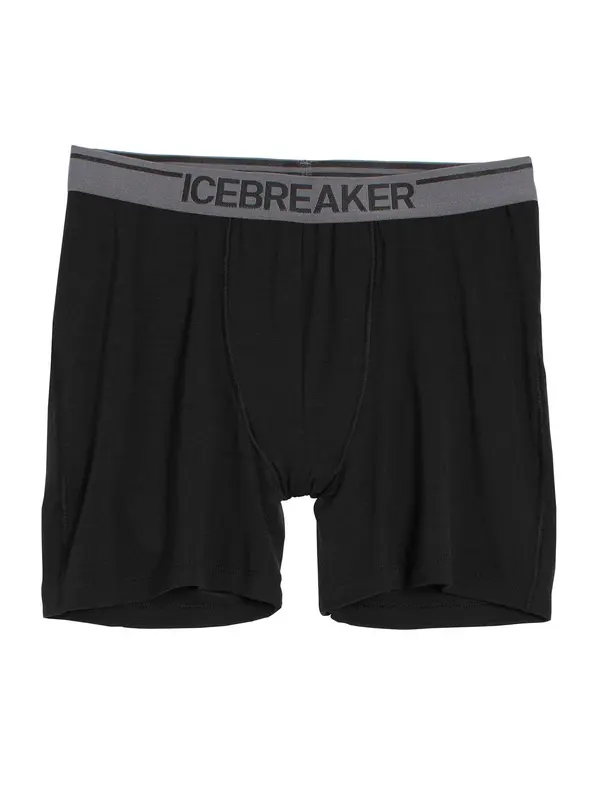 ICEBREAKER ICEBREAKER Sportske gaće 'Anatomica'  tamo siva / crna