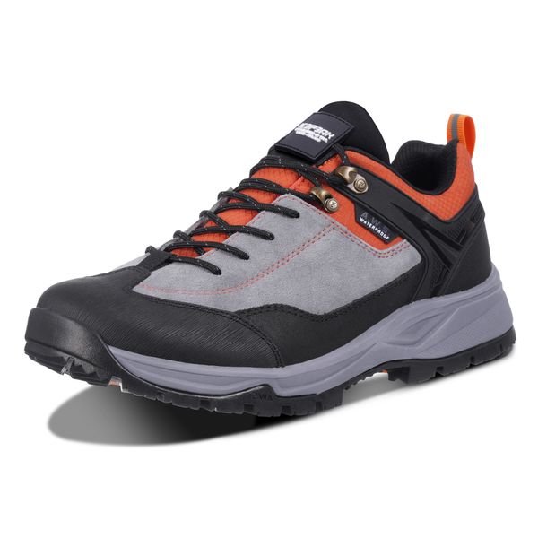 ICEPEAK ICEPEAK Niske cipele 'Abai'  siva / ciglasto crvena / crna