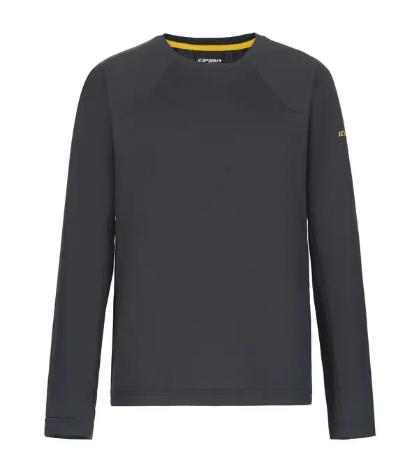 ICEPEAK ICEPEAK Tehnička sportska majica 'Kershaw'  antracit siva