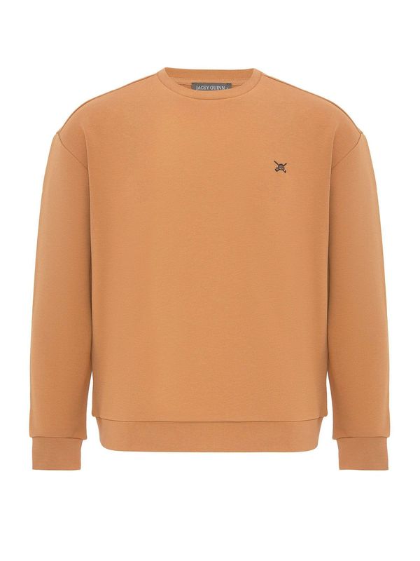 Jacey Quinn Jacey Quinn Sweater majica 'Alex'  boja devine dlake (camel) / crna