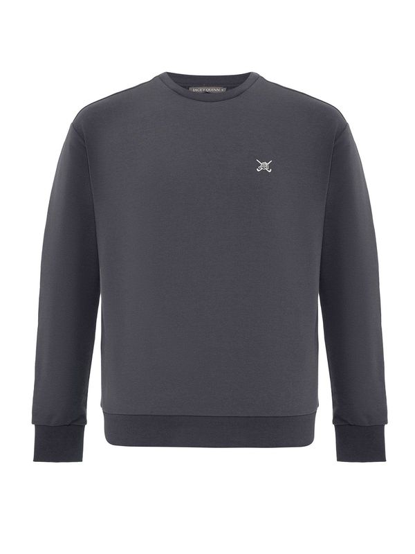 Jacey Quinn Jacey Quinn Sweater majica 'Alex'  tamo siva