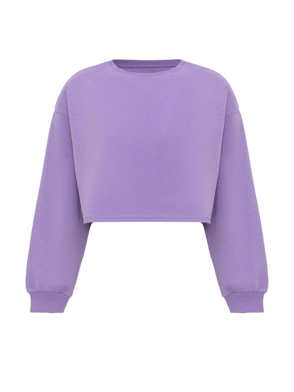 Jacey Quinn Jacey Quinn Sweater majica 'Elsa'  ljubičasta