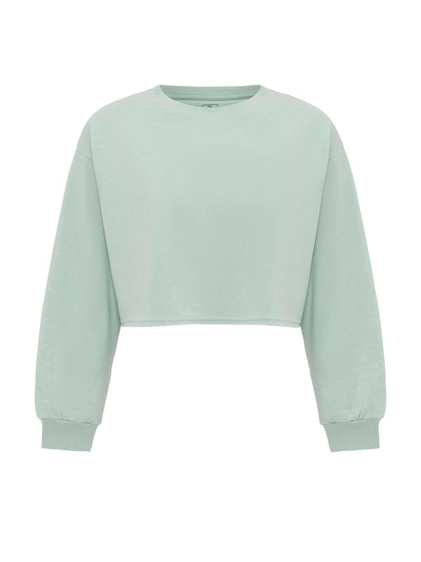 Jacey Quinn Jacey Quinn Sweater majica 'Elsa'  menta