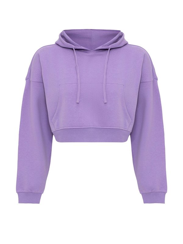 Jacey Quinn Jacey Quinn Sweater majica 'Helga'  ljubičasta