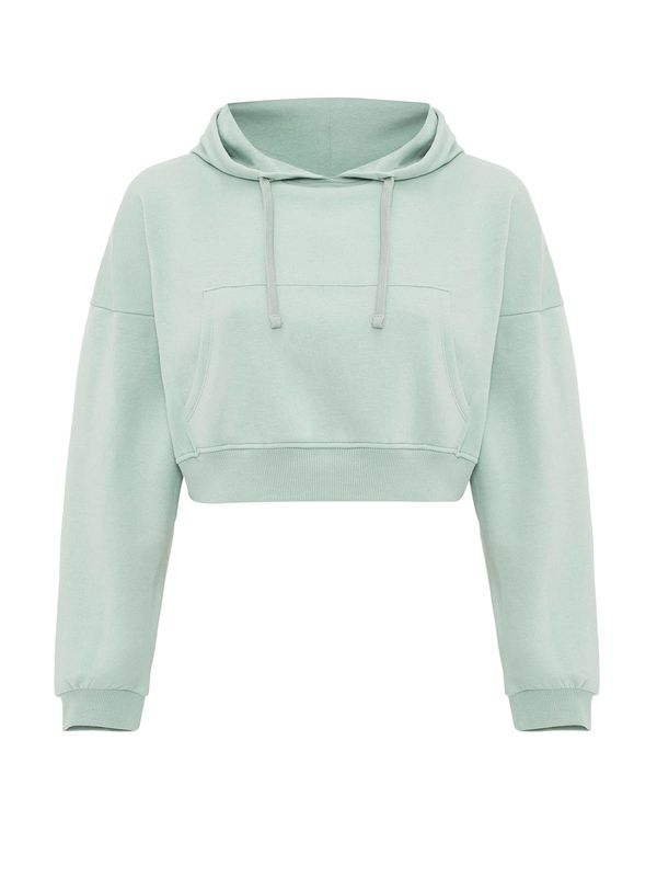 Jacey Quinn Jacey Quinn Sweater majica 'Helga'  menta