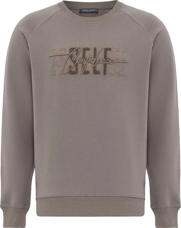 Jacey Quinn Jacey Quinn Sweater majica  tamo siva / pastelno zelena