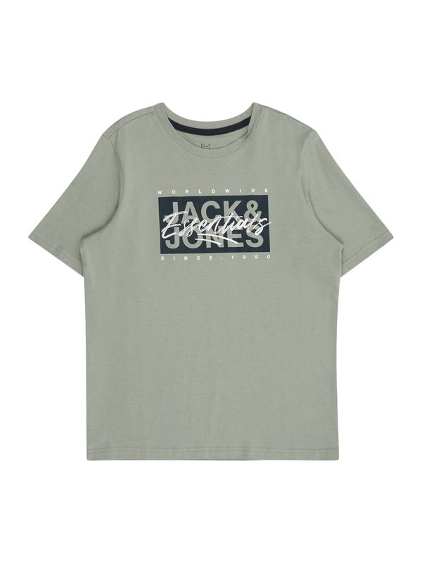 Jack & Jones Junior Jack & Jones Junior Majica 'JJCOLTON'  pastelno zelena / crna / bijela