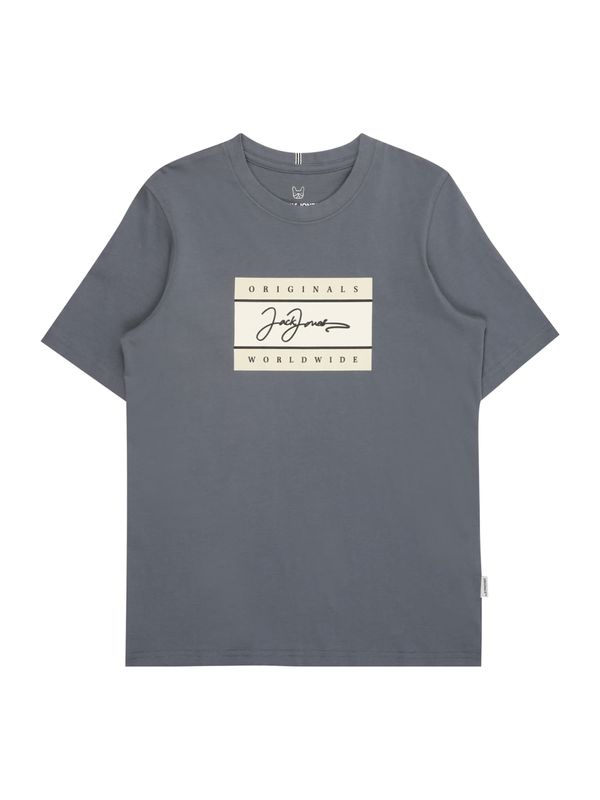 Jack & Jones Junior Jack & Jones Junior Majica 'JORFREDERIKSBERG'  dimno siva / bijela
