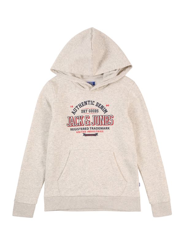 Jack & Jones Junior Jack & Jones Junior Sweater majica  crvena / crna / bijela melange