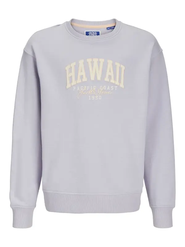 Jack & Jones Junior Jack & Jones Junior Sweater majica 'Detroit'  boja pijeska / svijetložuta / siva