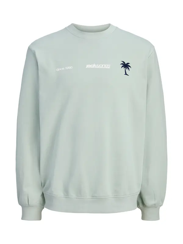 Jack & Jones Junior Jack & Jones Junior Sweater majica 'JCOClub Summer'  menta / crna / bijela