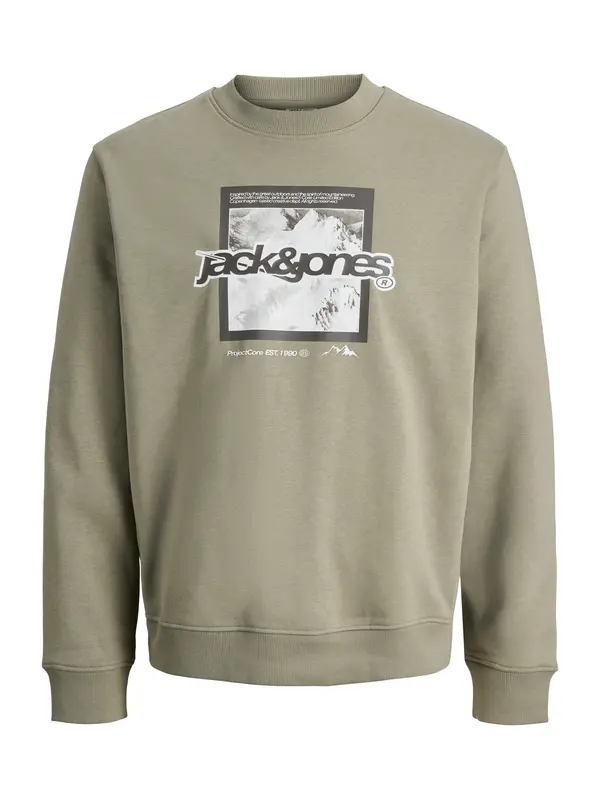 Jack & Jones Junior Jack & Jones Junior Sweater majica 'JCOFLARE'  siva / bijela