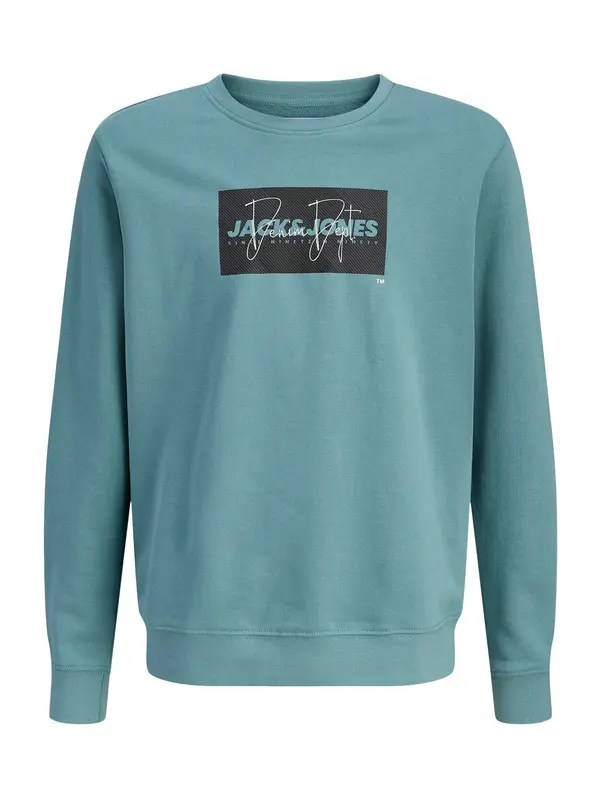 Jack & Jones Junior Jack & Jones Junior Sweater majica 'JJCOLE'  smaragdno zelena / crna / bijela