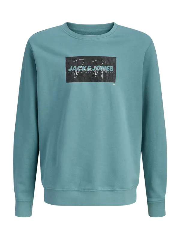Jack & Jones Junior Jack & Jones Junior Sweater majica 'JJCole'  smaragdno zelena / crna / bijela