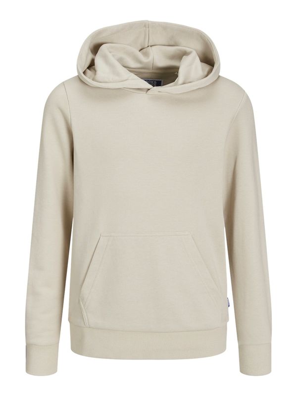Jack & Jones Junior Jack & Jones Junior Sweater majica 'JJEBradley'  sivkasto bež