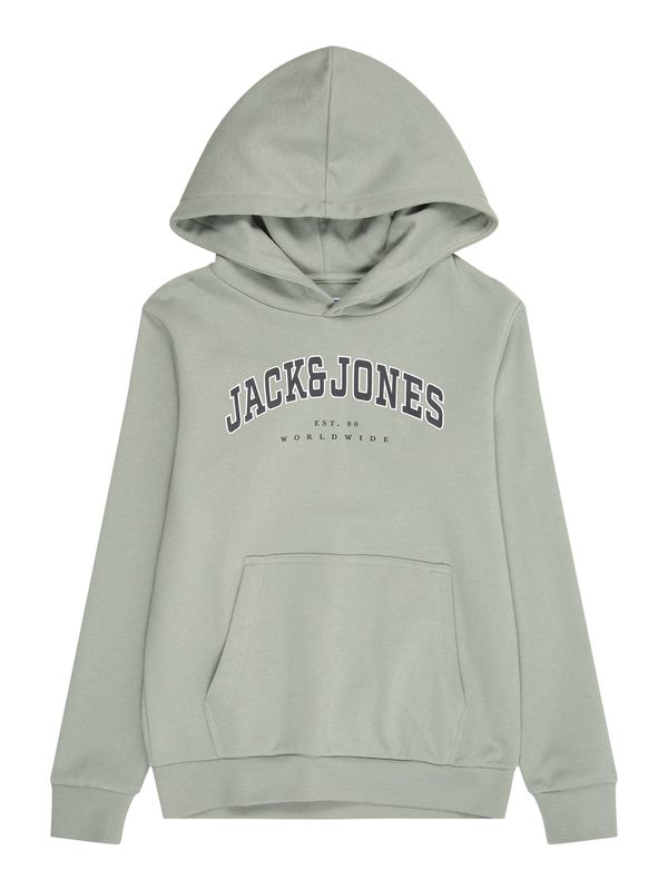 Jack & Jones Junior Jack & Jones Junior Sweater majica 'JJECALEB'  jabuka / crna / bijela